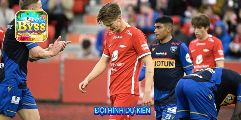 Đội hình dự kiến